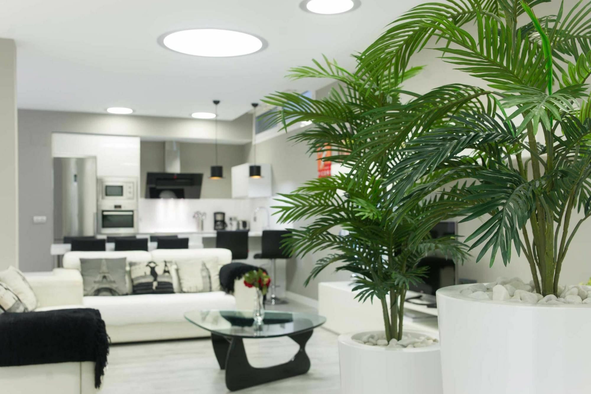 סן סבסטיאן Apartamento Lagun Concha Beach מראה חיצוני תמונה